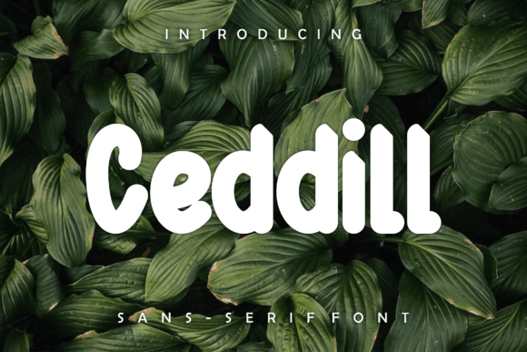 Ceddill: A Bold Display Font for Elegant Branding