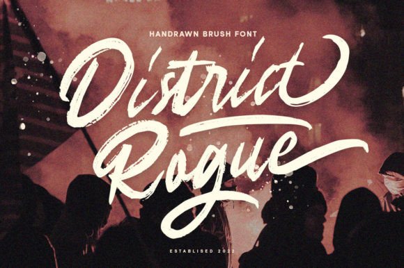 District Rogue Display Font for Professional Branding