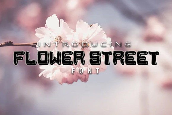 Flower Street Display Font for Stylish, Artsy Design Projects