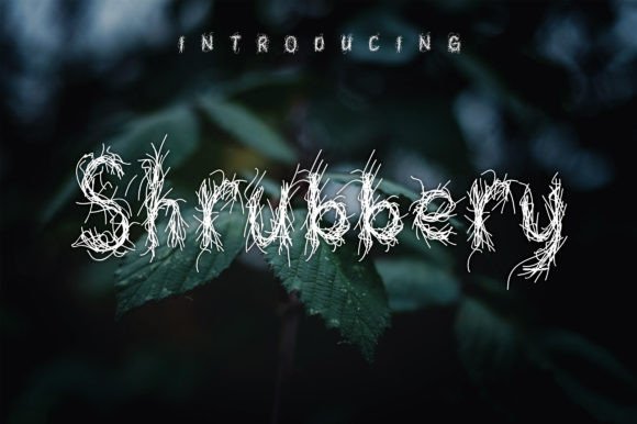 Shrubbery Font: A Whimsical Display Font for Handmade Creators