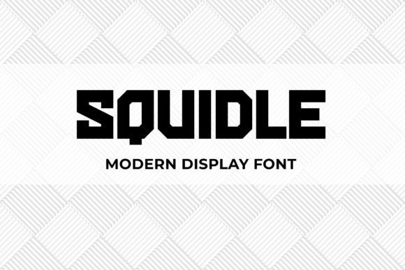Squidle: A Bold Modern Display Font for Campaign Headlines